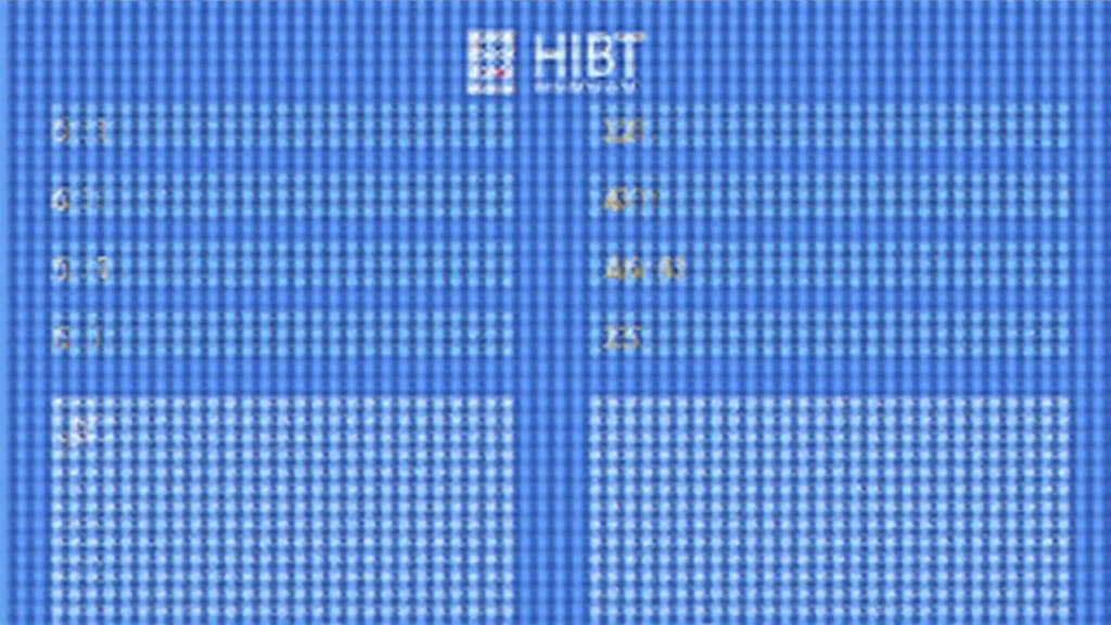 HIBT Vietnam crypto exchange performance